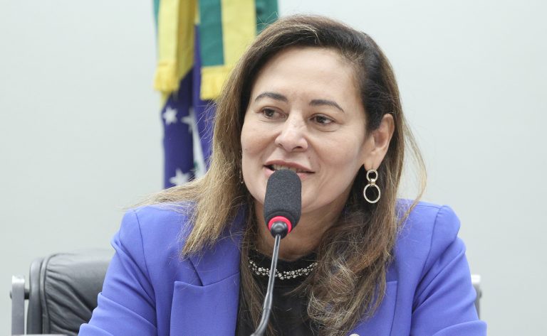 comissao-aprova-projeto-que-cria-programa-para-ajudar-familias-afetadas-por-desastres