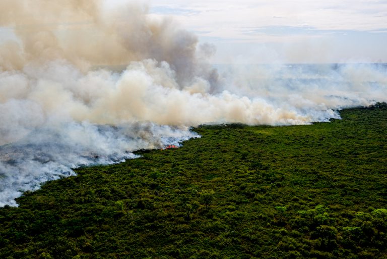 nova-lei-estabelece-principios-e-diretrizes-para-a-protecao-e-uso-sustentavel-do-pantanal